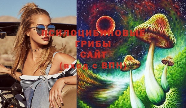 2c-b Горно-Алтайск